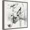 Donkey Portrait III by PHBurchett 16-in. W x 16-in. H. Canvas Wall Art Print Framed in Grey